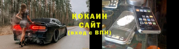 сатива Мегион