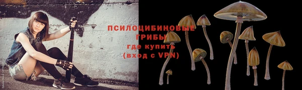 сатива Мегион