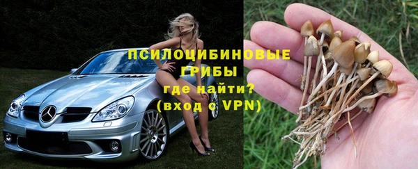 сатива Мегион