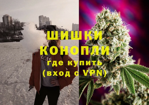 сатива Мегион