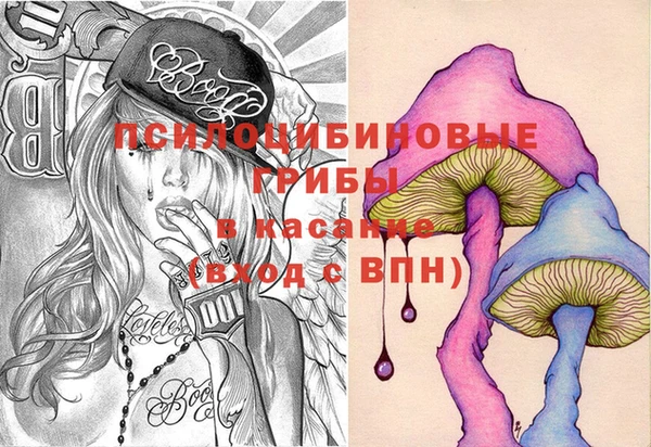 сатива Мегион