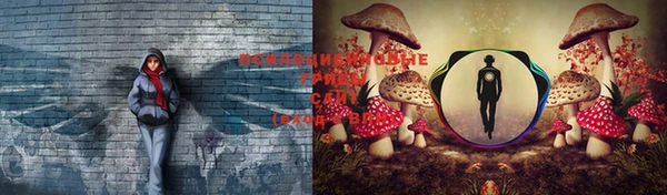 тгк Медвежьегорск