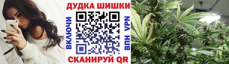 Шишки марихуана семена  Купить где  Арамиль 